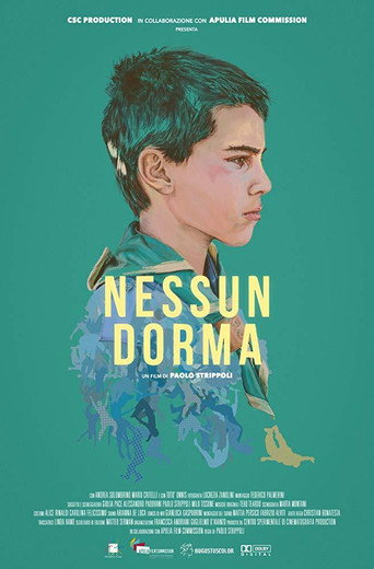Nessun dorma movie poster