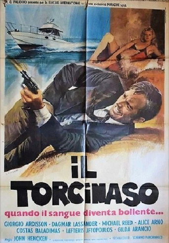 Il torcinaso movie poster