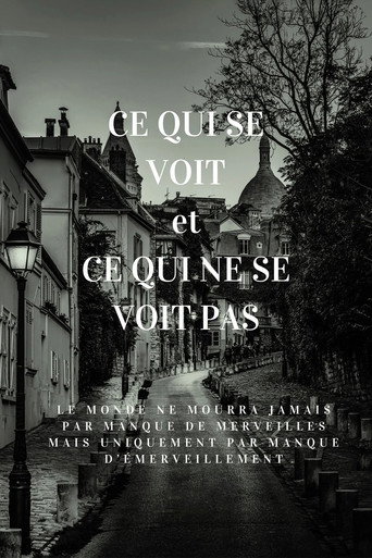 Ce qui se voit et ce qui ne se voit pas movie poster