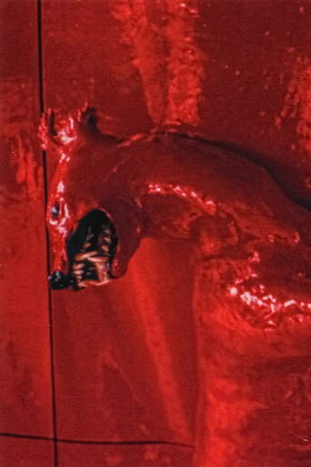 A Red Score in Tile movie poster