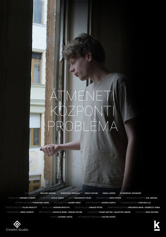 Temporary Central Problem movie poster