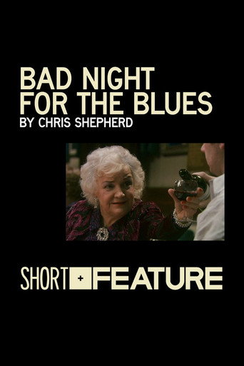 Bad Night for the Blues movie poster