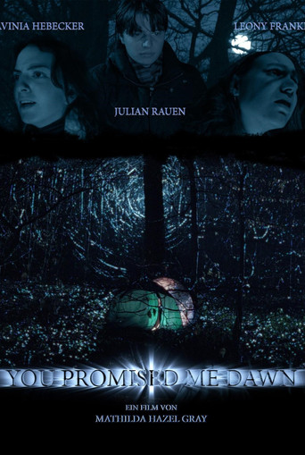 You Promised Me Dawn movie poster