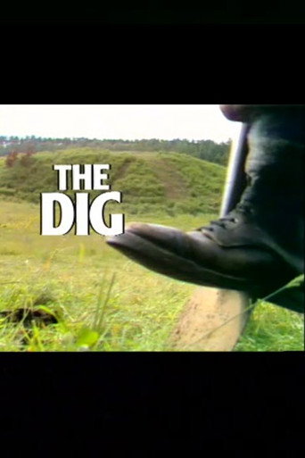 The Dig movie poster