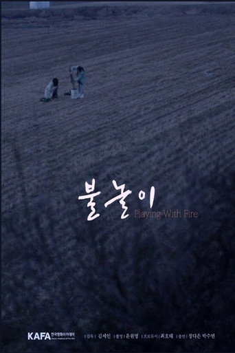 Playing with Fire movie poster
