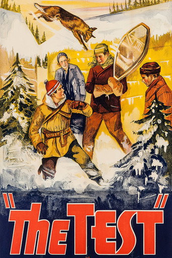 The Test movie poster