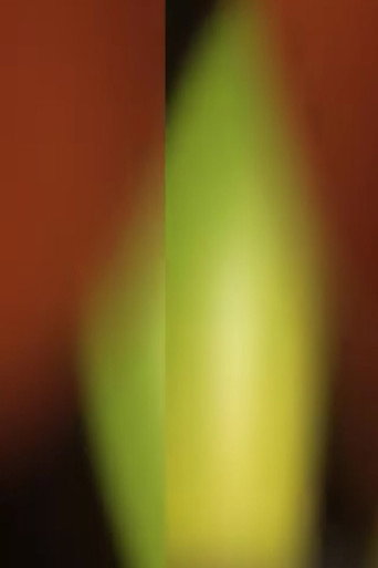 Stretch and Pull movie poster