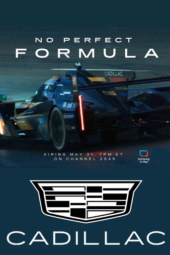 No Perfect Formula movie poster