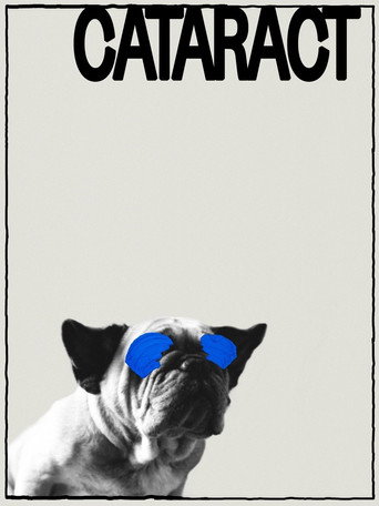 Cataract movie poster