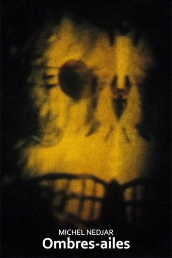 Ombres-ailes movie poster
