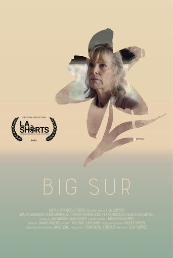Big Sur movie poster