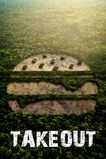 Takeout movie poster