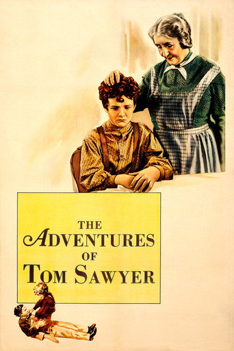 The Adventures of Tom Sawyer movie poster