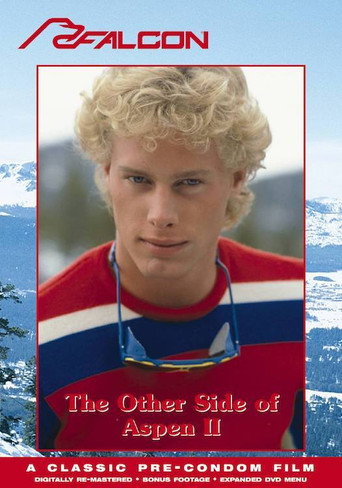 The Other Side of Aspen II movie poster