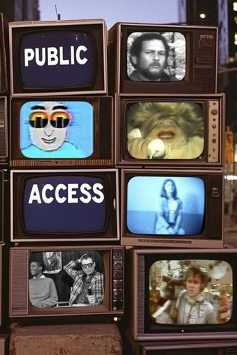 Public Access movie poster