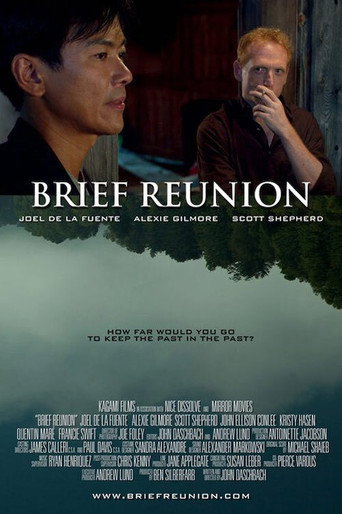 Brief Reunion movie poster