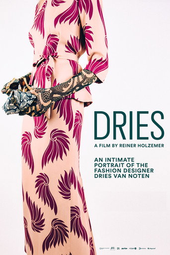 Dries movie poster