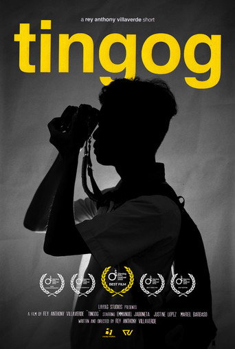 Voice movie poster