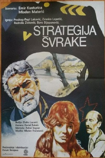 The Magpie Strategy movie poster