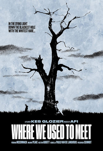 Where We Used to Meet movie poster