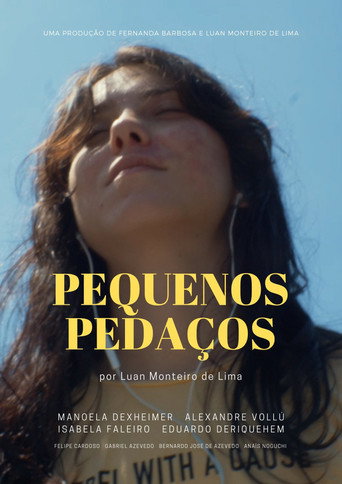 Little Pieces movie poster