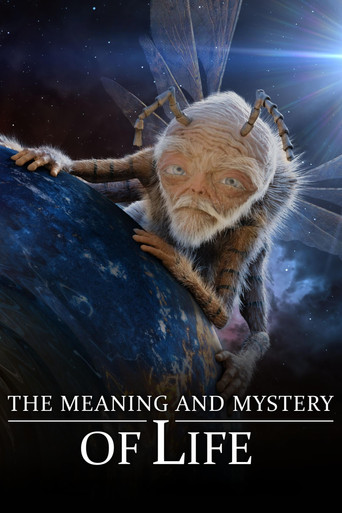 The Meaning and Mystery of Life movie poster