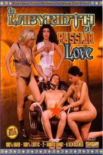 In The Labyrinth Of Russian Love movie poster