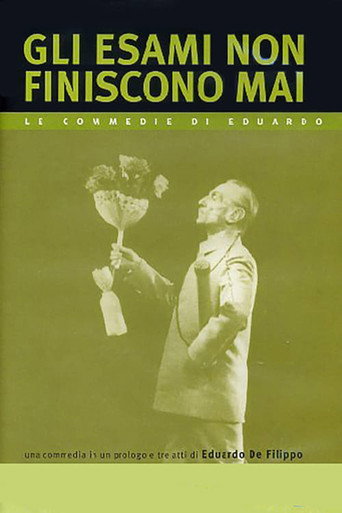 Gli esami non finiscono mai movie poster
