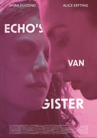 Echo's van Gister movie poster