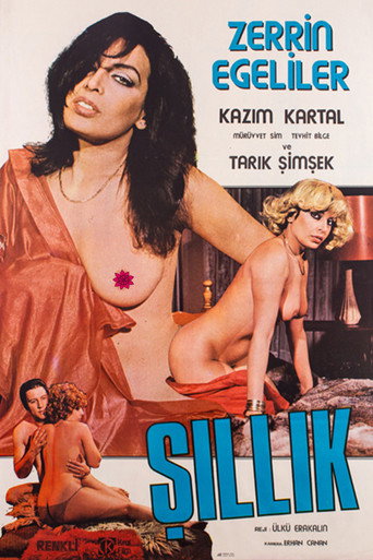 Şıllık movie poster