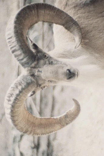Paradies der Tiere movie poster