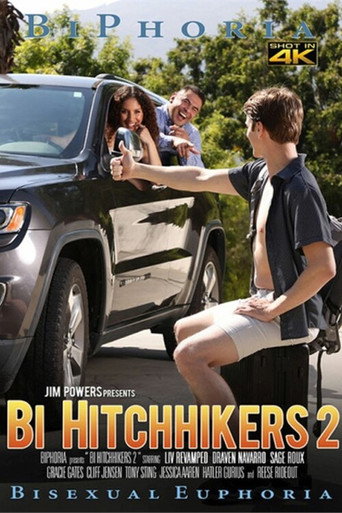 Bi Hitchhikers 2 movie poster