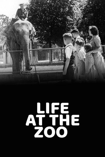 Life at the Zoo movie poster