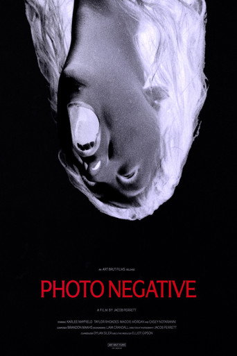 Photo Negative movie poster