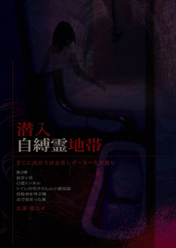 Infiltration: The Haunted Zone - A Female Reporter Goes Alone. movie poster