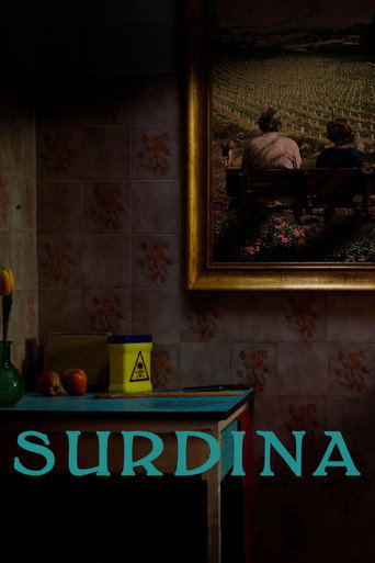 Surdine movie poster