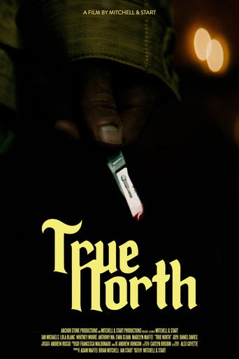 True North movie poster