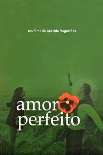 Amor Perfeito movie poster