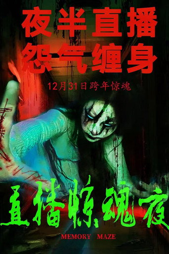 Memory Maze movie poster
