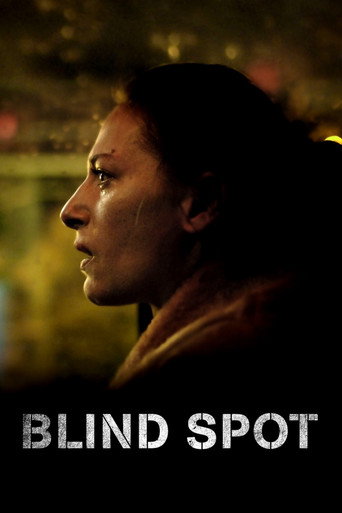 Blind Spot movie poster