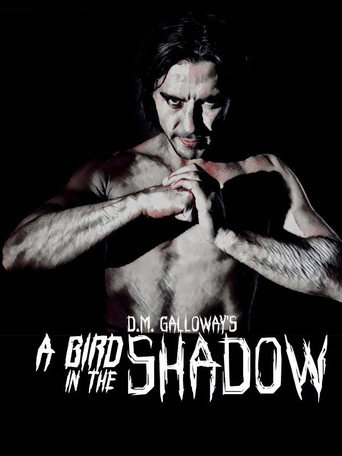 A Bird In The Shadow movie poster