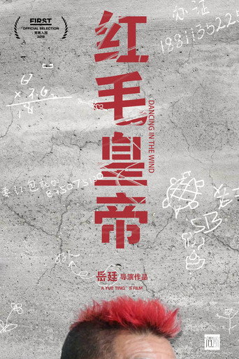 Dancing in the Wind movie poster