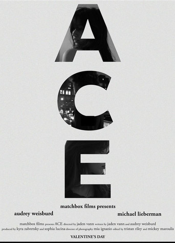 ACE movie poster