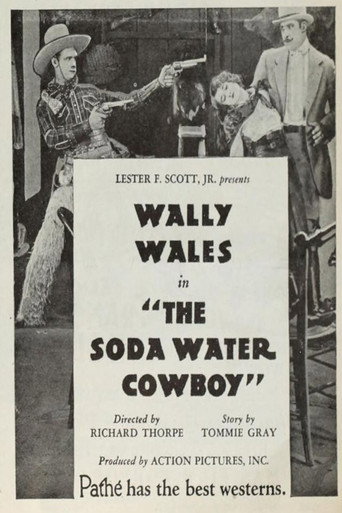 The Soda Water Cowboy movie poster
