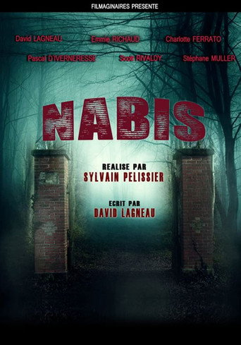 Nabis movie poster