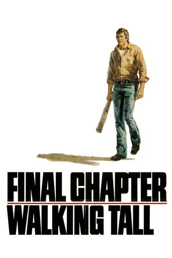 Final Chapter: Walking Tall movie poster