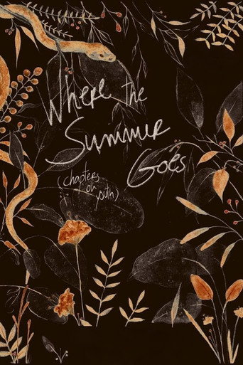 Where the Summer Goes (Chapters on Youth) movie poster