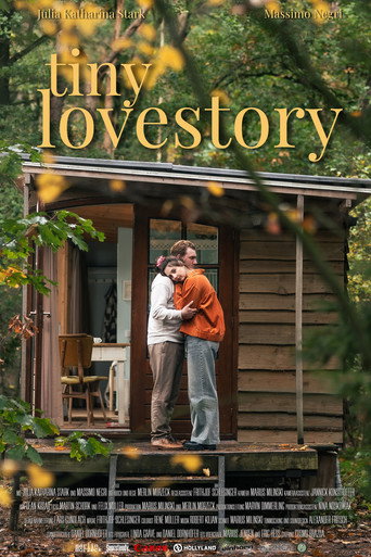 Tiny Lovestory movie poster