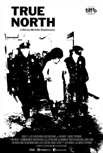 True North movie poster