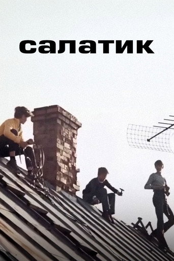 Salad movie poster